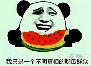 网上流行吃瓜是什么意思